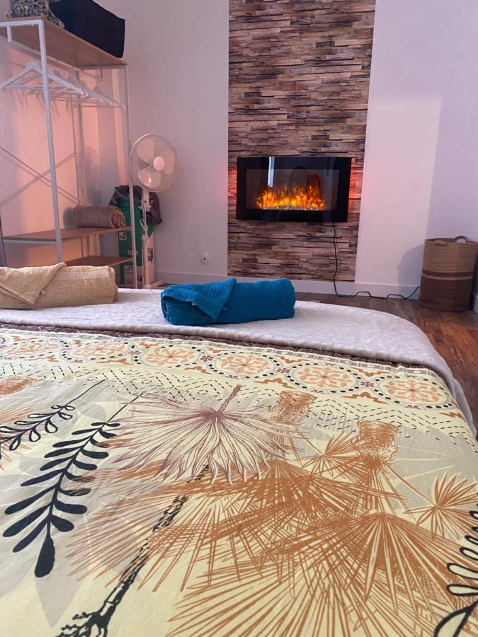 Super Appartement T2 Proche Gare 상스 외부 사진